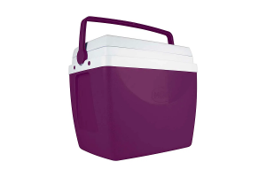 CAIXA TERMICA 34L BERINJELA COD-25108166