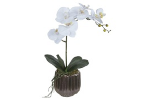 ARRANJO DE ORQUIDEA CORAL REF-51199-163