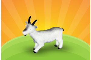 BODE DE VINIL REF-VB163