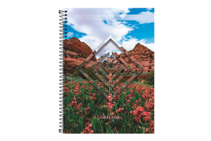 CADERNO UNIVERSITARIO EXPLORE 10X1 160F REF-948510
