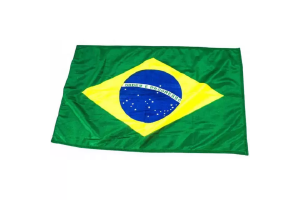BANDEIRA DO BRASIL 90CM X 89CM
