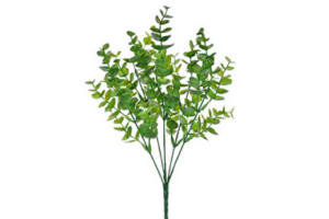 BQ FOLHAS DE EUCALIPTO X5 VERDE REF-51243-004