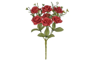 B.ROSA CABBAGE X18 VERMELHO OUTONO 48CM REF-42990003