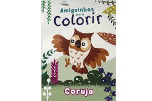 AMIGUINHOS PARA COLORIR- CORUJA REF-1162276