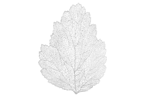 JOGO AMERICANO FOLHA PVC REF-CK5021