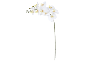 H.ORQUIDEA PHALAENOPSIS REAL TOQUE X9 BR  REF-42493002