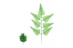 SAMAMBAIA VERDE CLARO REF-16344-003