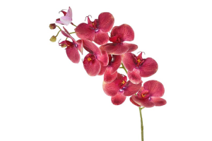 HT ORQUIDEA 3D EM PVC MALVA REF-46406539