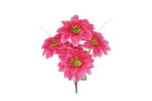 BQ DALIA GD ROSA REF-29357018