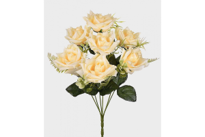 BQ ROSA X7 CHAMPAGNE REF-40907-480