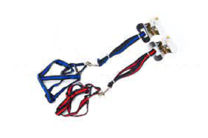 COLEIRA PARA CAO 1,5MX1,4M REF-182392