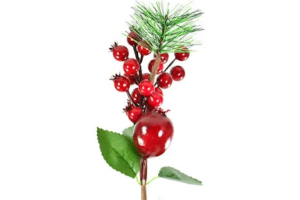 GALHOS C/ FRUTOS 20CM REF-NTA86073