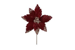 H. BICO PAPAGAIO BORDO GLITTER CHMPANHE 20CM REF-74634001