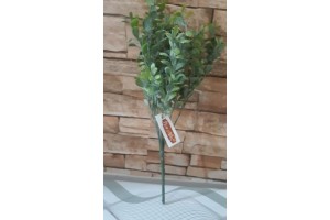 F. FOLHA C/ POWDER PLT X35 VERDE 36CM REF-42198001