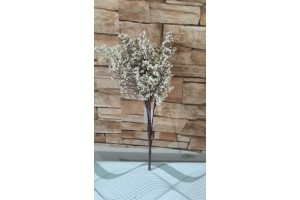 B. GYPSO X18 CREME 33CM REF-42203003