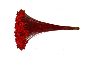 SEMPRE VIVA VERMELHO 34CM REF-59607