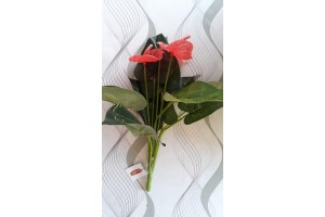 A. ANTURIO X3 VERDE 33CM REF-25325001