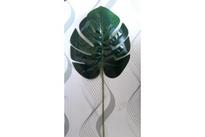 C. FOLHA COSTELA DE ADAO REAL TOQUE VERDE 58CM REF-41109001