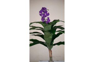 A. FLOR X17 BEAUTY 1,1M REF-42727001