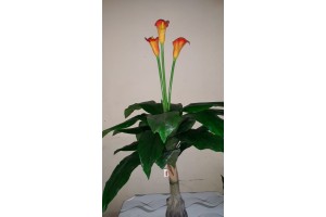 A. COPO DE LEITE REAL TOQUE X18 VERMELHO 1M REF-36455001