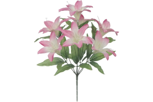 BQ LIRIO X10 ROSA REF-51276018