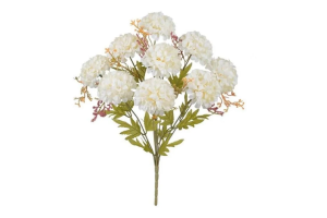 BQ CRISANTEMO X5 CREME REF-51269010