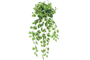 FOLHAGEM PENDENTE PVC X3 ZEBRA REF-51412063