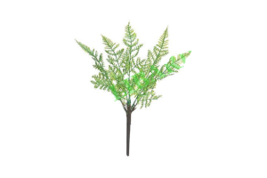 BQ FOLHAS CEDRO X5 VERDE REF-49192004