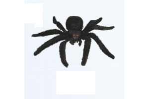 ARANHA CARANGUEJEIRA REF-10.318