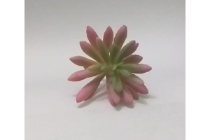 PICK SUCULENTA SEDUN ROSA REF-50251-018