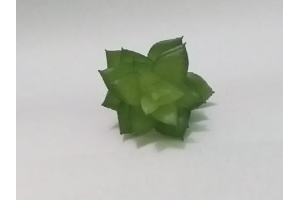PICK SUCULENTA JADE VERDE REF-50252-004
