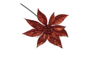 H-BICO DE PAPAGAIO50 CM REF-66140004