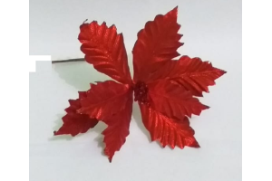 BICO PAPAGAIO 25 CM REF-66282-004