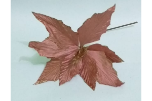 BICO PAPAGAIO ROSE  51 CM REF-66301002