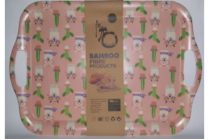 BANDEJA ECO CACTUS 42X29CM REF-HC8421506