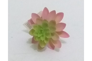 PICK SUCULENTA SEDUN VERDE OUTONO REF-50254-243