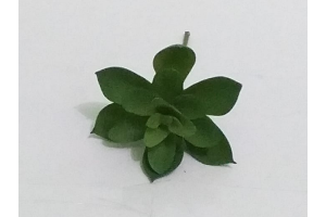 PICK SUCULENTA JADE AZUL REF-50250-001