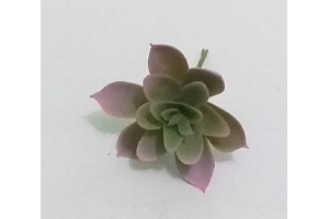 PICK SUCULENTA JADE ROSA REF-50250-018
