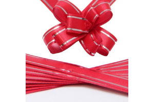 LAÇO DE PRESENTE  30X48 REF-4808