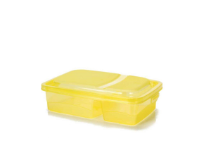 CAIXA 2 DIVISOES COM TRAVA REF-2315