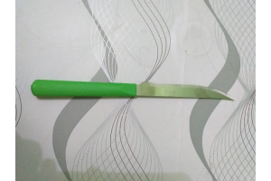 FACA DE MESA PRESTIGE AVULSA VERDE REF- 03200.01.05