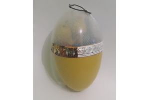 OVO SAFARI REF-XIS0494