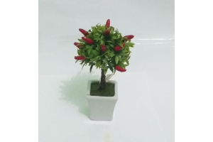 ARRANJO MINI  BONSAI PIMENTA